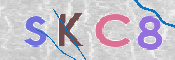 Code Anti-spam