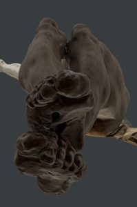 Screenshot_20251019_184404_Telegram